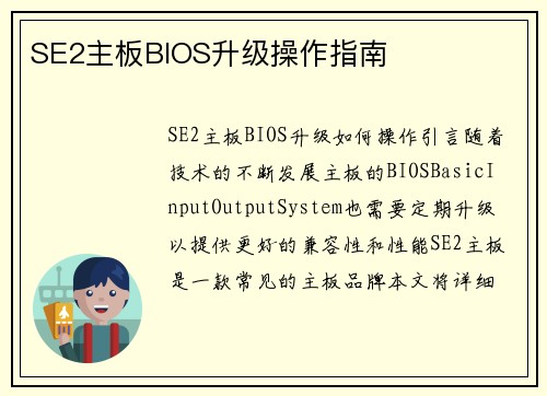 SE2主板BIOS升级操作指南