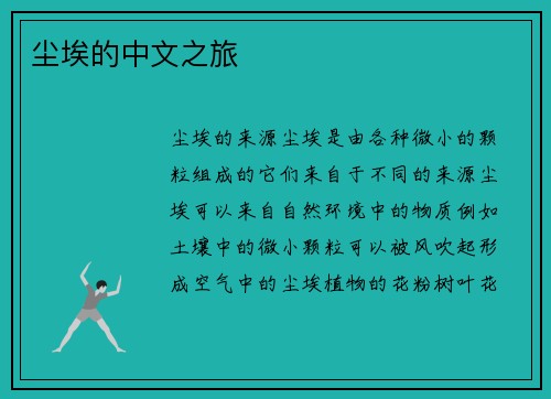 尘埃的中文之旅